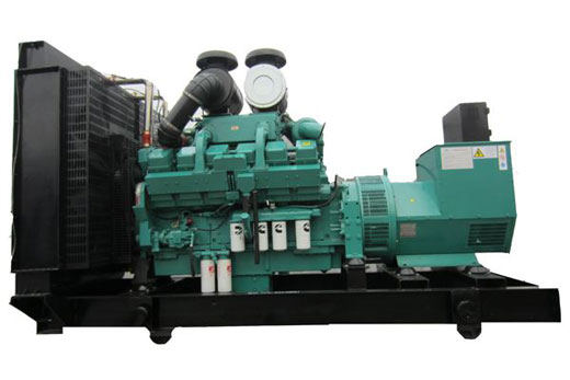 蒋湖农场柴油发电机组