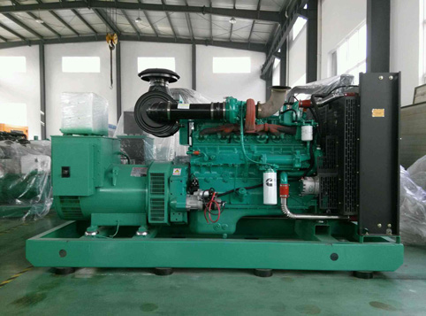 蒋湖农场柴油发电机组