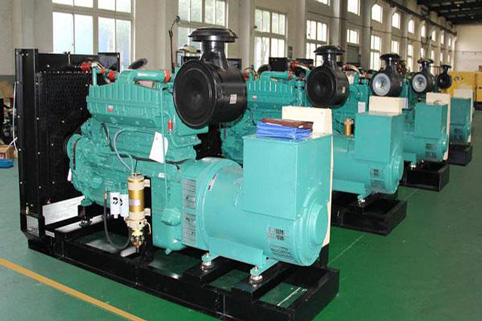 蒋湖农场小型柴油发电机